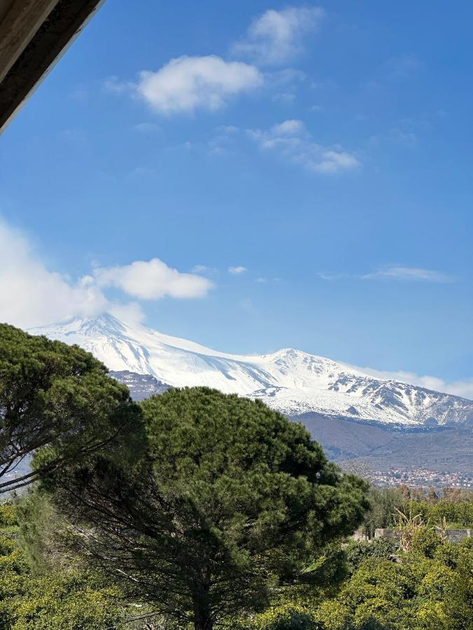 La Pigna Delle Aci Apartment アチレアーレ エクステリア 写真